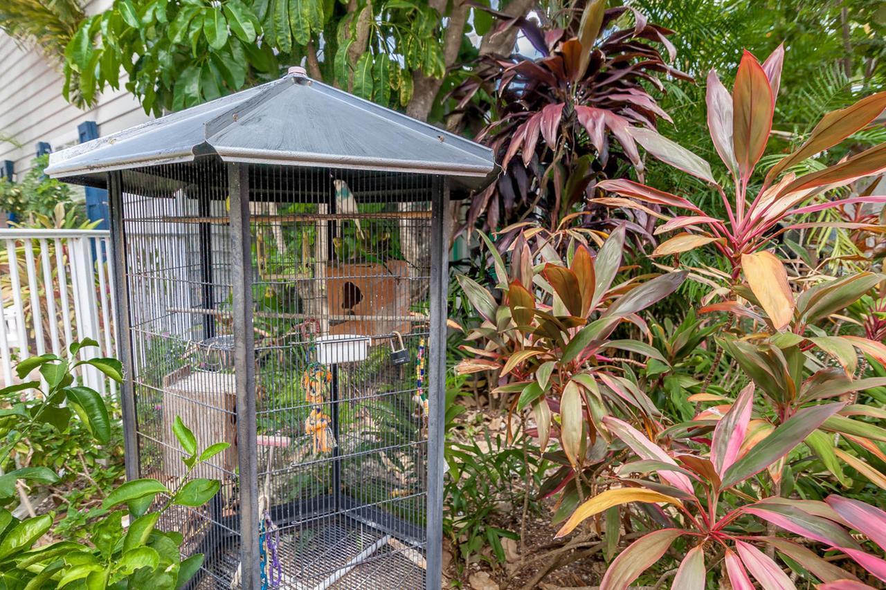 Old Town Garden Villas Key West Quarto foto
